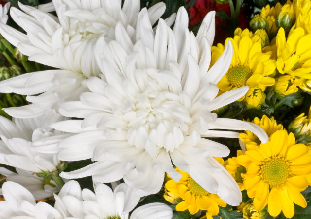 弊社は近年、返還・墓じまいのご相談を多く受けております。